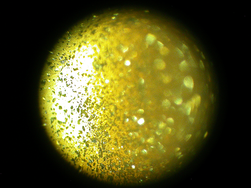 oeil_2